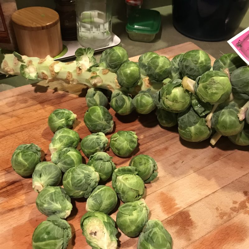 Brussels Sprouts : In Season And Delicious